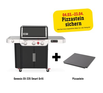 Weber Gasgrill Genesis EX-335